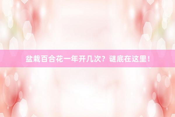 盆栽百合花一年开几次？谜底在这里！